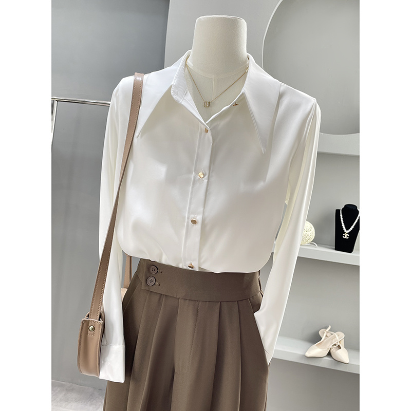 Long Sleeve Shirts Womens Chif - Women Formal Wear Korean review and price
